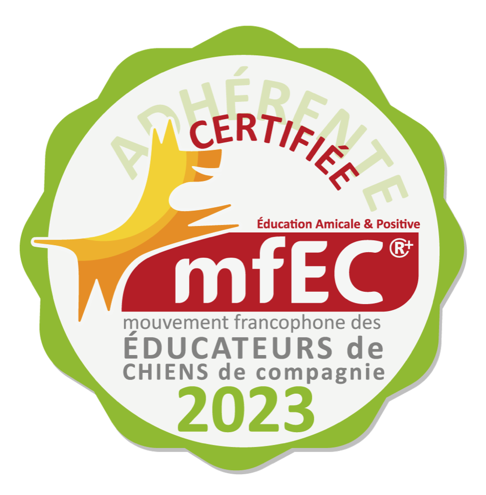 MFEC Logo 2023